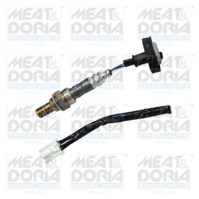 Oxygen Sensor
